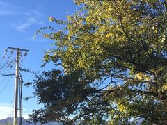 -浔岚云舍mist静谧观景美宿(丽江古城店)