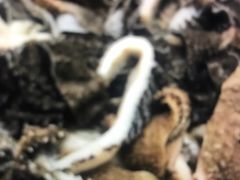 -通一顺老北京炭火锅(玉桥西路店)