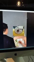 点击看大图 -CD视觉婚纱摄影