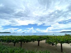 -三亚亚龙湾天域度假酒店