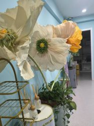 -斐尔国际皮肤管理中心