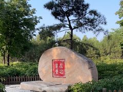 -莲花池公园