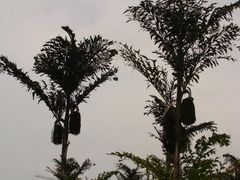 -白沙门生态公园