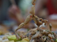 -二0二李记南瓜田鸡老字号(宜宾一店)