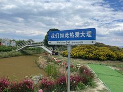 -大理洱海