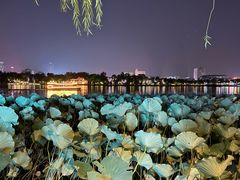 -春水锅贴·传统鲁菜(大明湖店)