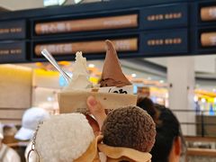 -野人先生Gelato(上海长宁龙之梦店)