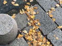 -苏州碑刻博物馆