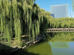 -大兴滨河森林公园