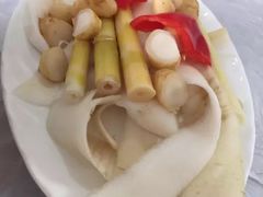 -明升萝卜汤