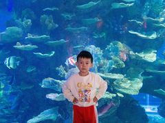 -泉城欧乐堡海洋极地世界