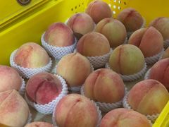 -老袁家蜜桃农场·阳山水蜜桃