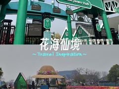 -荷兰花海