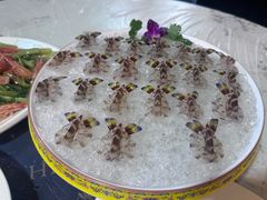 -富来美食