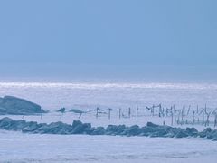 -南澳海滩
