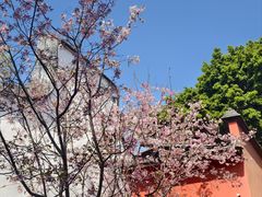 -乌山风景区