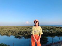 -北海金海湾红树林生态旅游区