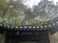 -南山风景名胜区
