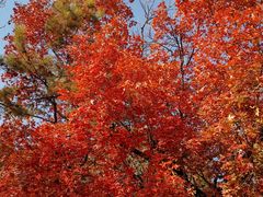 -长辛店二七公园