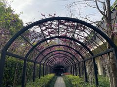 -七宝老街-闵行市民文化广场