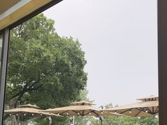 -蘇河湾·新鲁菜·泰山宴(泰山店)