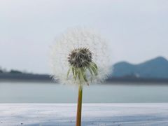 -江南天池
