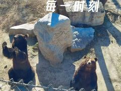 -石家庄市动物园