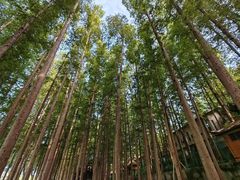 -南京金牛湖风景区