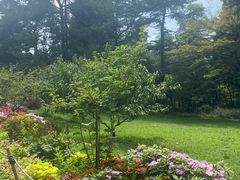 -庐山风景区花径公园