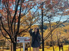 -田野绿世界