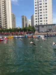 -星海水上乐园(星海广场圣亚店)