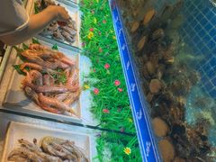 -蟹将军·松叶蟹和牛日料放题自助(K11店)