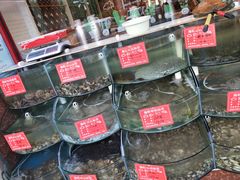 -东来菜馆•手抓海鲜家常菜•海鲜锅贴(鸽子窝店)