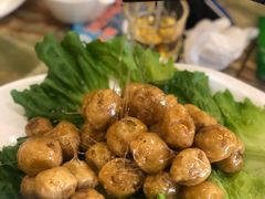 -椿记烧鹅(叠彩店)