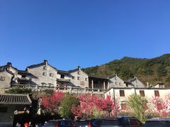 -雁南飞茶田景区