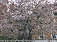 -四川省成都市彭州市白鹿镇
