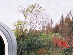 -盐官日光域房车营地·有盐餐厅