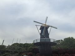 -上海鲜花港