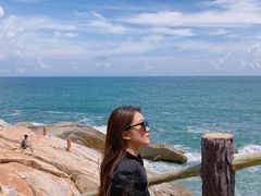 -广东惠东海龟国家级自然保护区