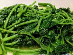 -潇湘甲鱼村(清河店)