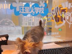 -帕帕拉兹宠物(亚洲旗舰店)