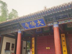 -张掖大佛寺景区