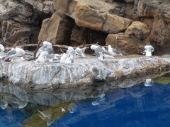 -珠海长隆海洋王国