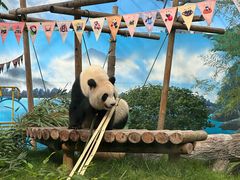 -鄂尔多斯野生动物园