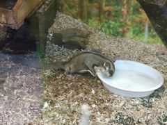 -上海大自然野生昆虫馆(东方明珠·爬宠昆虫探索中心)