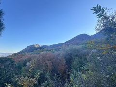 -阳台山自然风景区