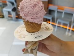 -野人先生现做冰淇淋(北京环宇荟店)