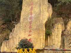 -长沙黑麋峰国家森林公园