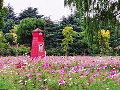 -大宁公园