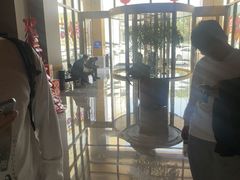 -漢頓温泉度假酒店